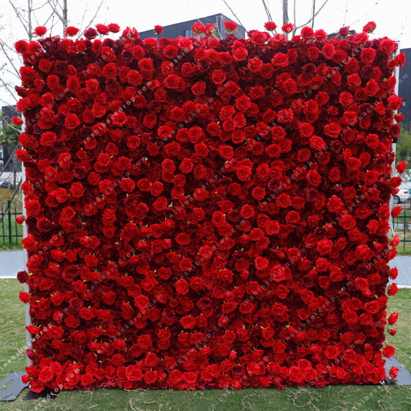 red roses flower wall