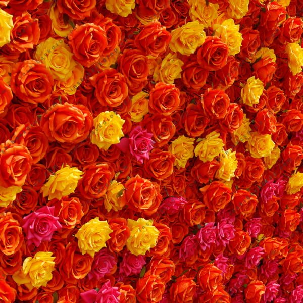 Red Orange Backdrop Flower Wall Birthday Baby Shower Wedding Decorations