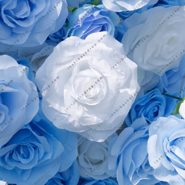 Blue Rose Flower Walls